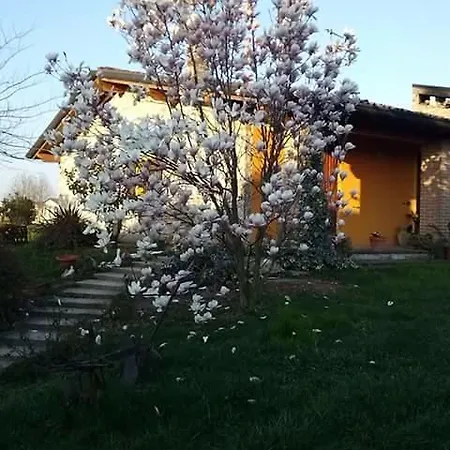 Bed & Breakfast Bellavista